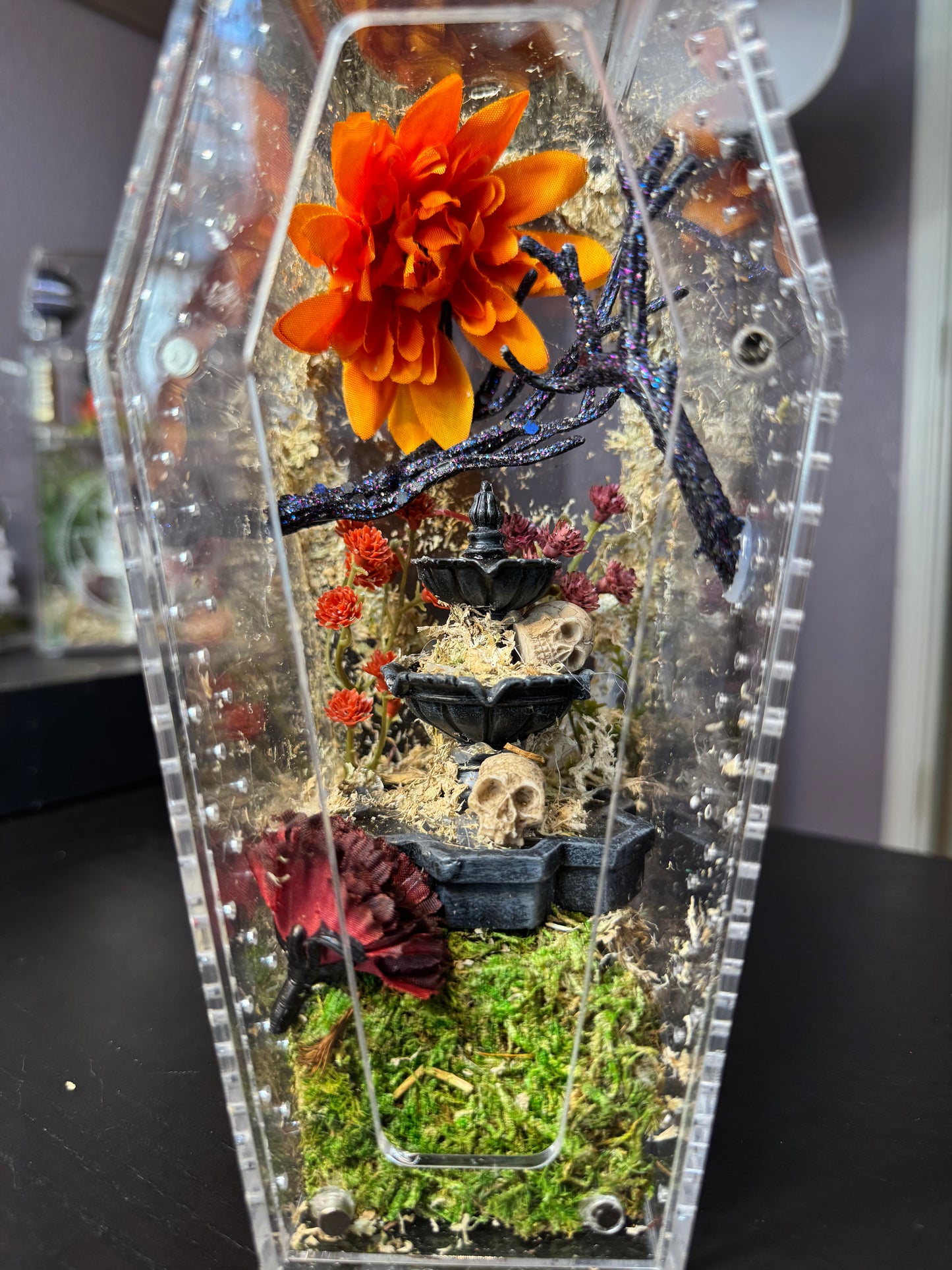 Skull Fountain Coffin Enclosure