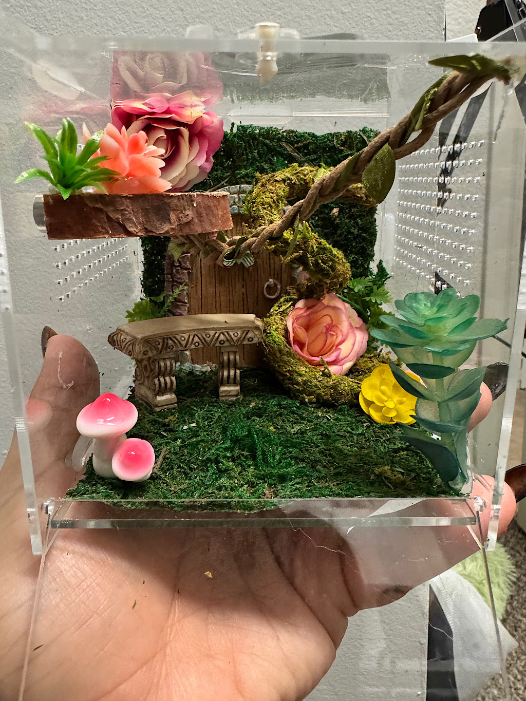 🎨✨ Create Your Own Custom Jumping Spider Enclosure! ✨🕷️