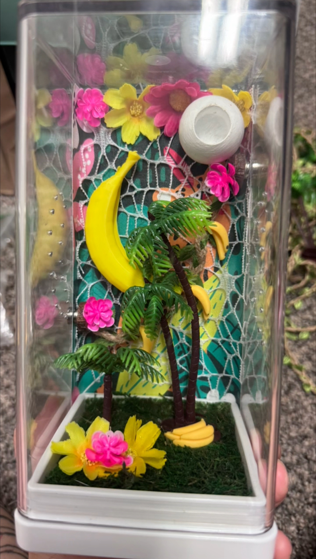 🎨✨ Create Your Own Custom Jumping Spider Enclosure! ✨🕷️