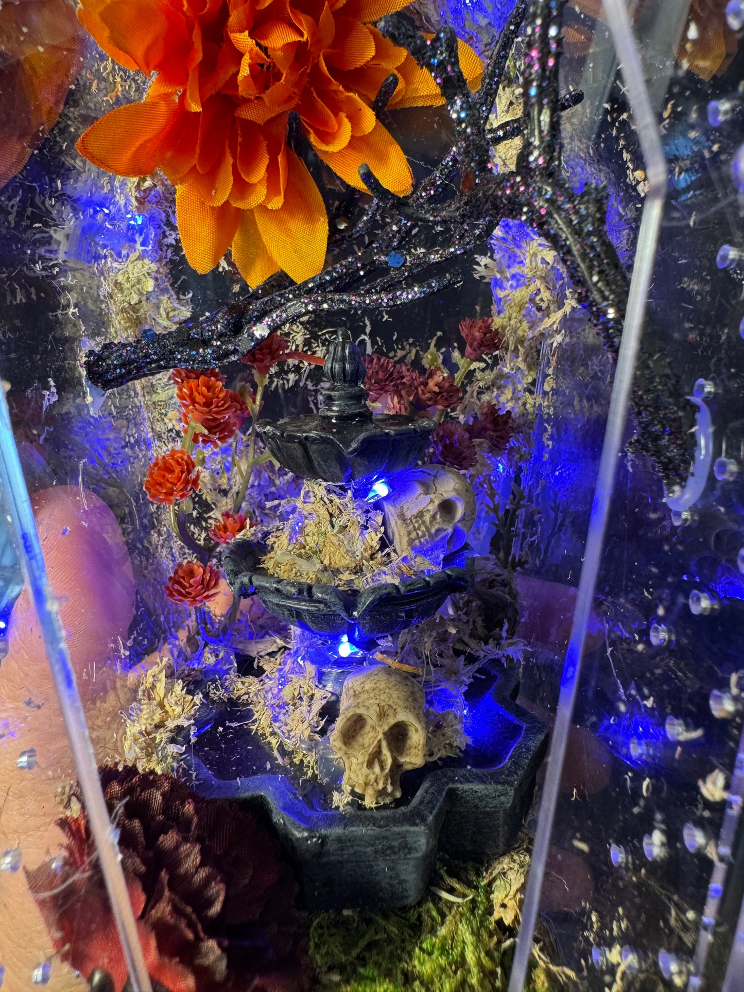 Skull Fountain Coffin Enclosure